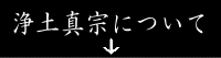 y^@ɂ 